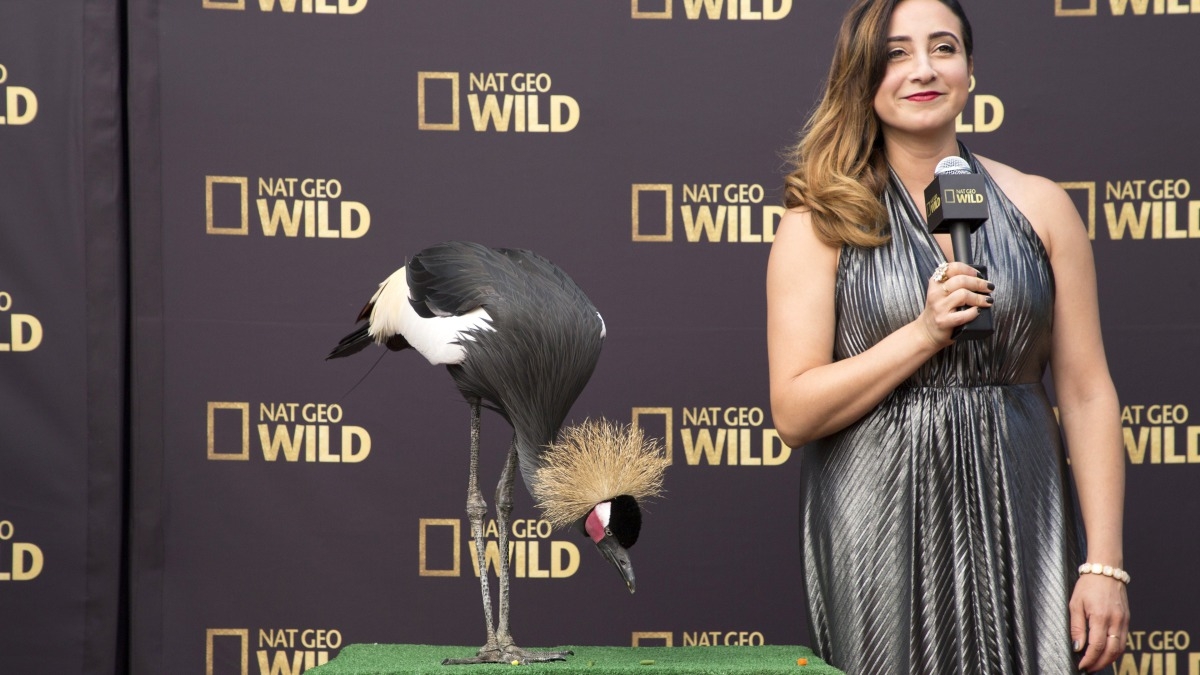 Nat Geo WILD From the Red Carpet