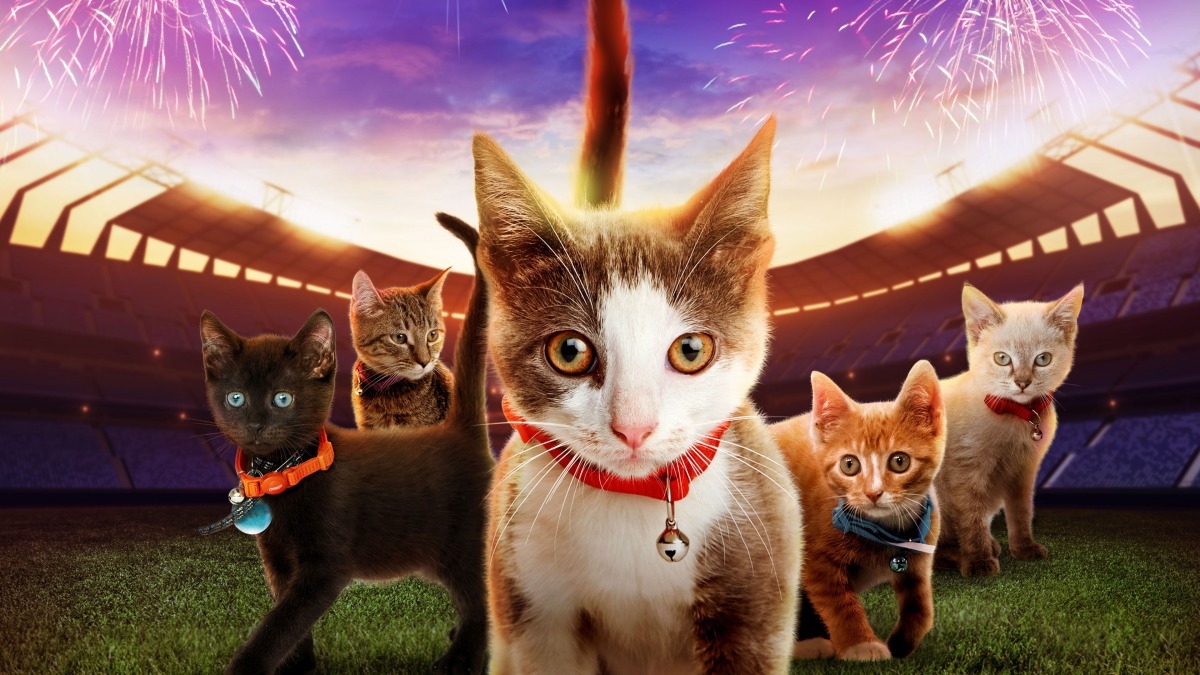 Kitten Bowl VII