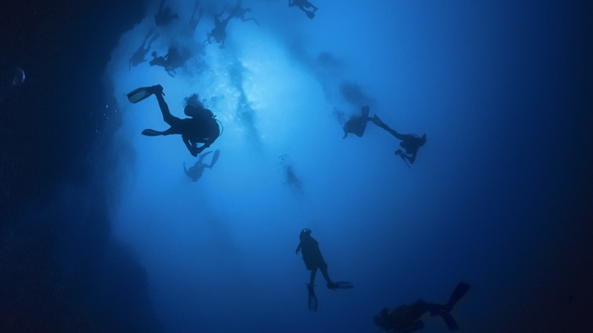 Discovery Live: Into the Blue Hole