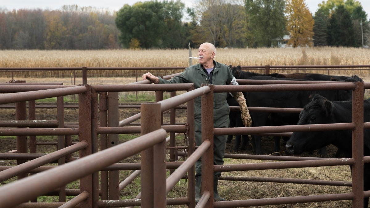 The Incredible Dr. Pol