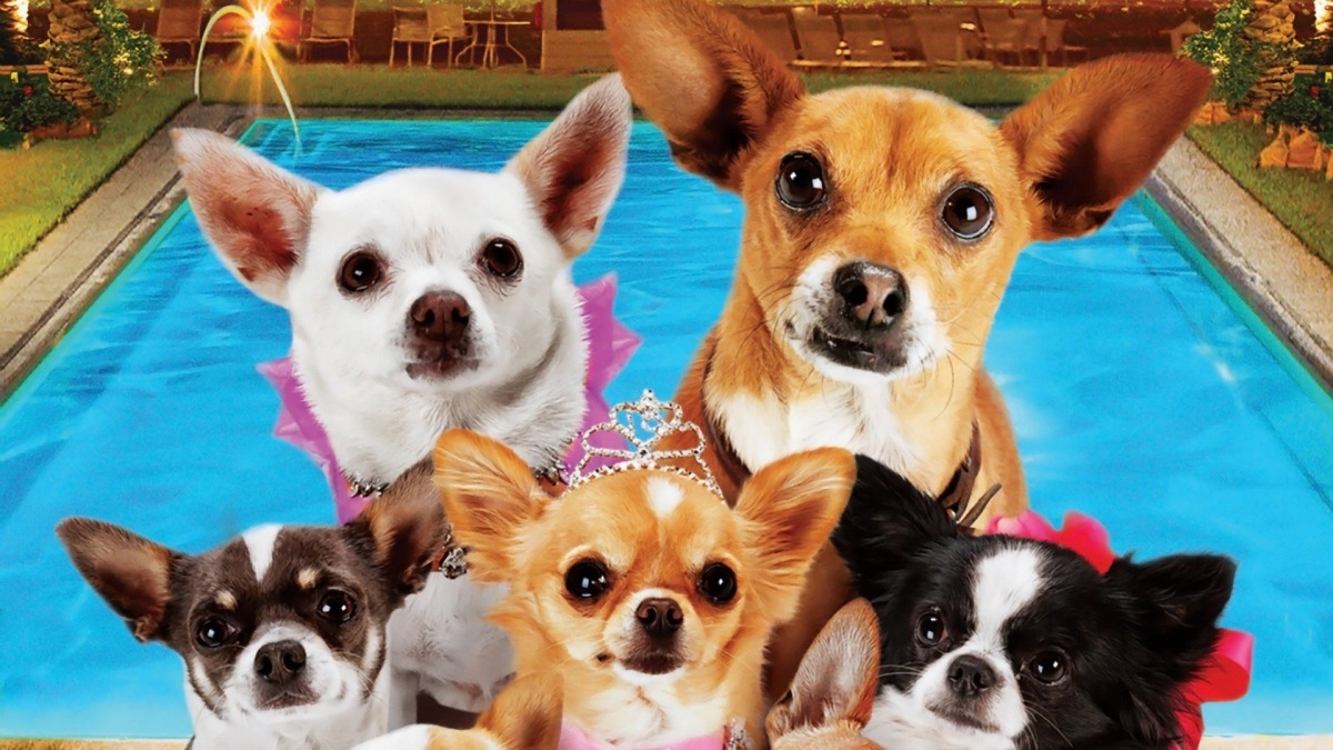 Beverly Hills Chihuahua 3: ¡Viva la Fiesta!