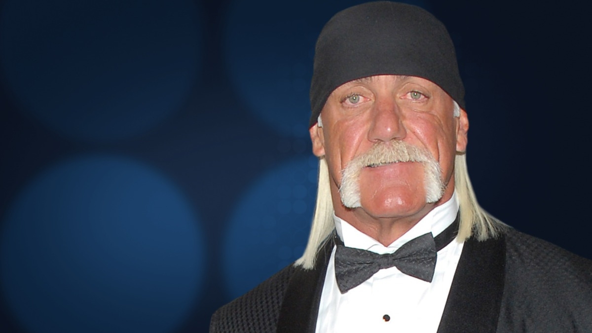 Hulk Hogan: Fortune Fight