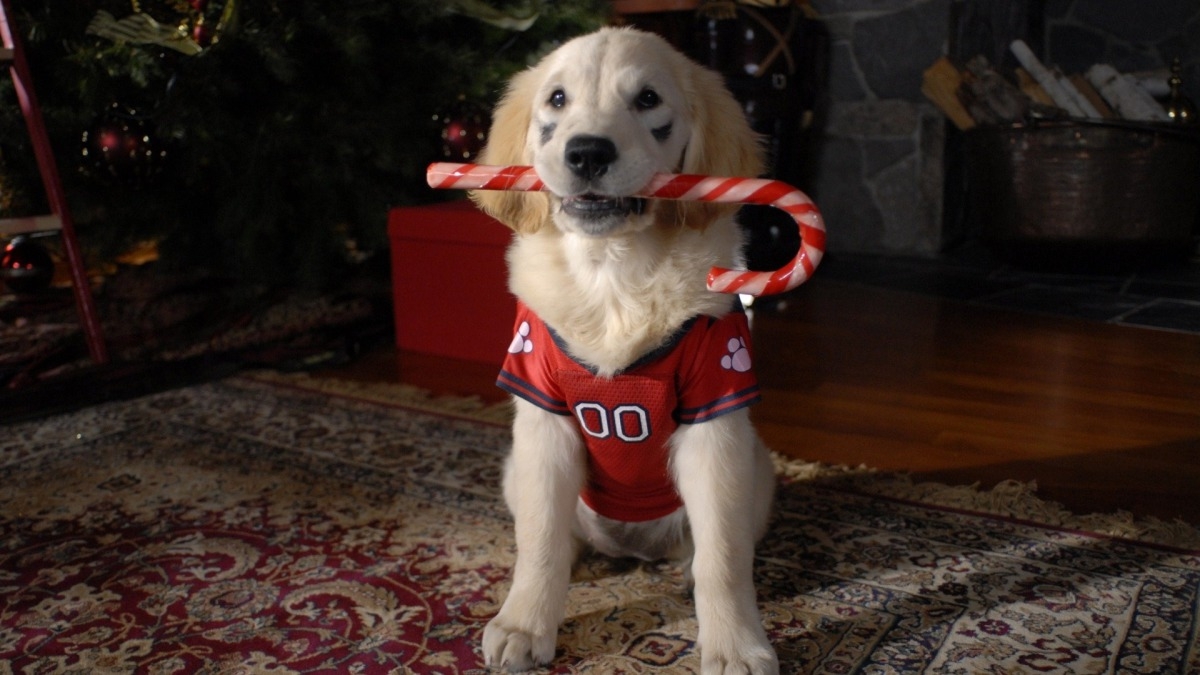 Santa Buddies