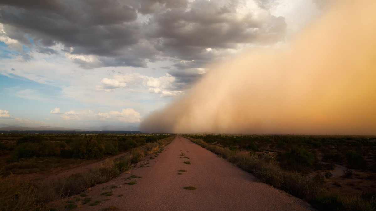 Wild Monsoon